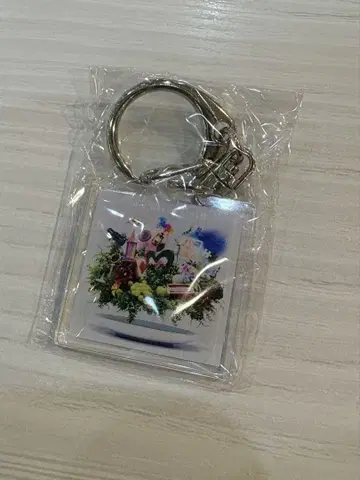미세스 아크릴 키링 앨범 10 가챠