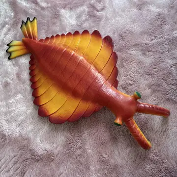 아노마로카리스 모형 약 30cm