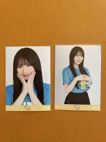 노기자카46 브로마이드 시즈오카 라이브 티셔츠 카와사키 사쿠라 요리, 츄