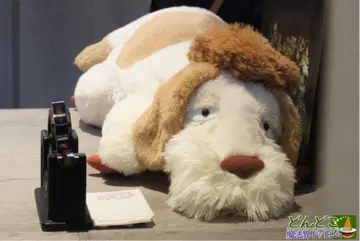지브리 파크 힌 봉제 인형 특대형 6월 28일 구매