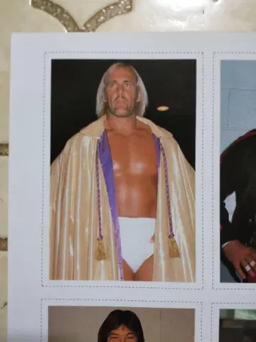 월간 공 1982년 7월호 헐크 호건 카드 Hulk Hogan