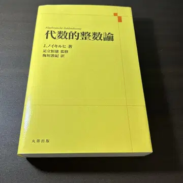 대수적 정수론