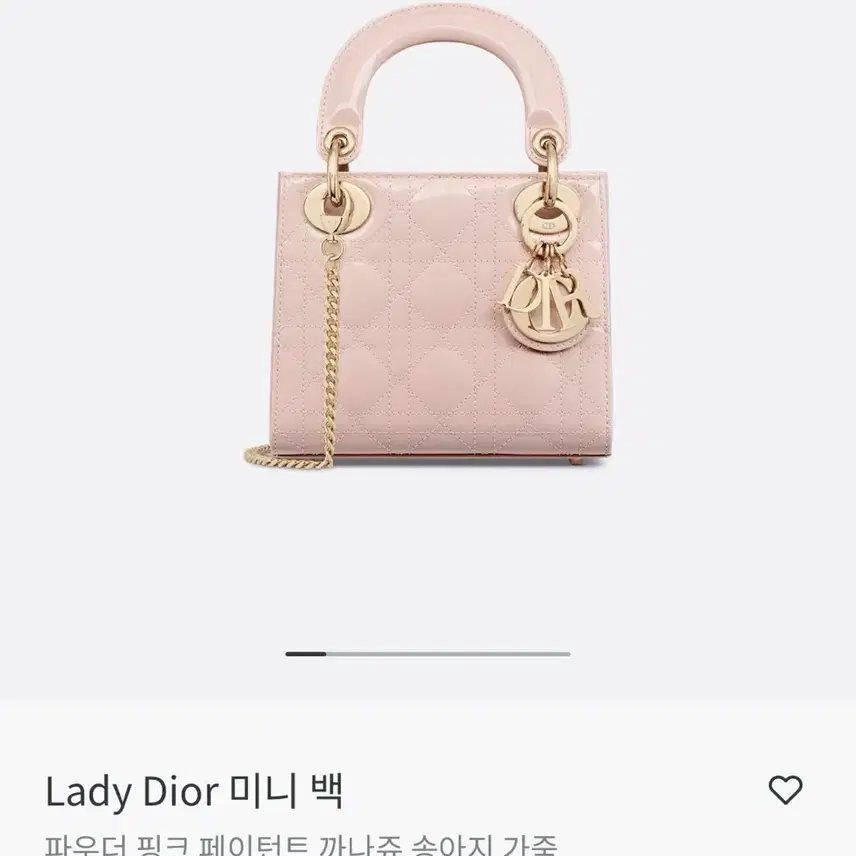 디올 디올레이디백 사진 1