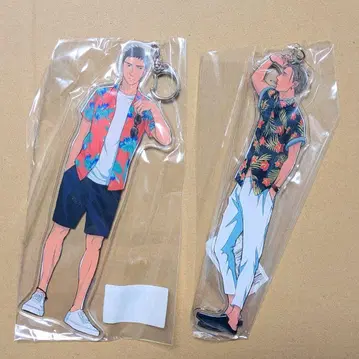 지저귀는 새는 날지 않는다 빅 아크링 키링 야시로 모모키