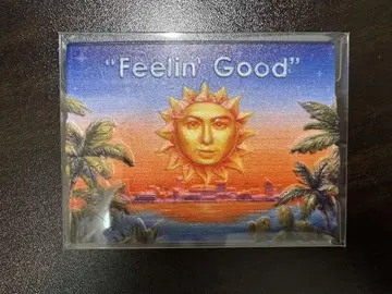 미사용 새상품 후지이 카제 Feelin' Good 지역 특산품 마그넷