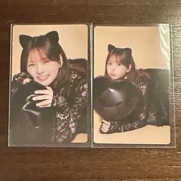 사이토 나기사 트레이딩 카드 팬 이벤트 트레이딩 카드 이코러브