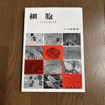 세포의 구조와 기능, 오가와 카즈로 저, 아사쿠라 서점, 중고 도서