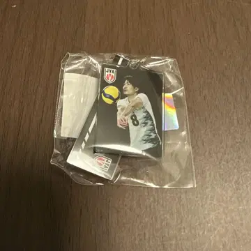 배구 남자 일본 대표 세키타 세이타 모바 가챠 아크링 키링