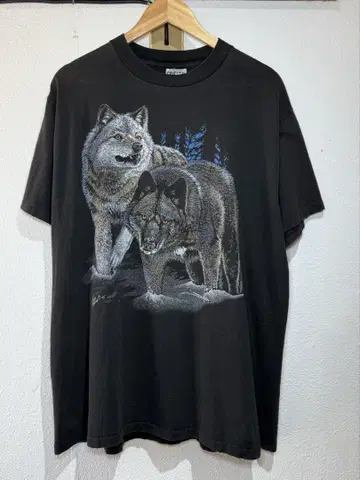 애니멀 T