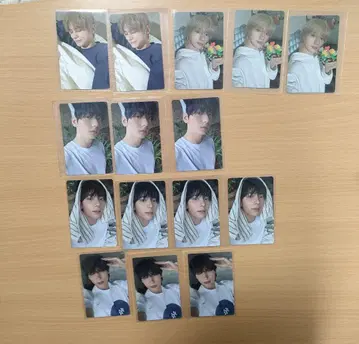txt sanctuary 트레이딩 카드 15장