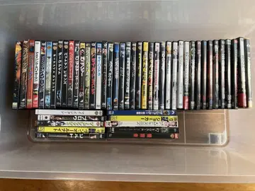 서양화 DVD 50장 세트