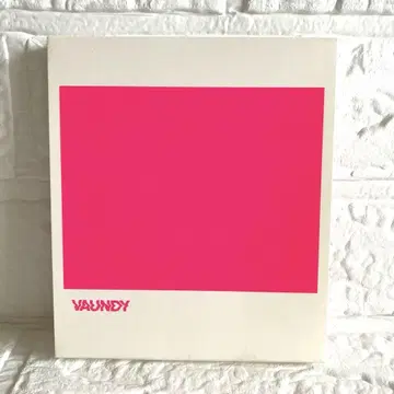 VAUNDY 스트로보