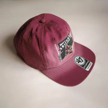 '47 NHL Arizona Coyote's 캡