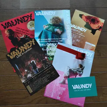 바운디 VAUNDY 플라이어, 카드, 은테 7종 세트