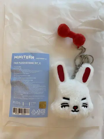 SEVENTEEN 에스크푸스 MINITEEN 팝업 키링