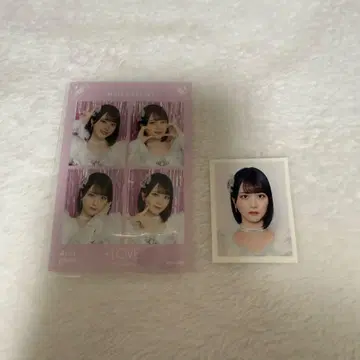 =LOVE 이코러브 사사키 마이카 4컷 사진 ID 사진