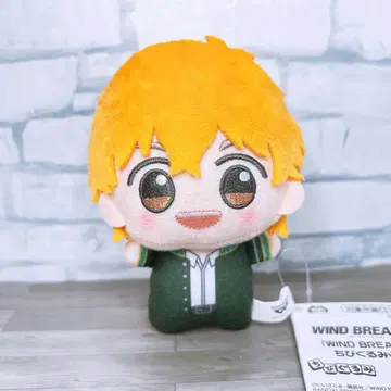 WIND BREAKER 윈드 브레이커 SD 인형 유이 아키히코