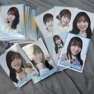 히나타자카46 졸업생 사진 묶음 판매 65장