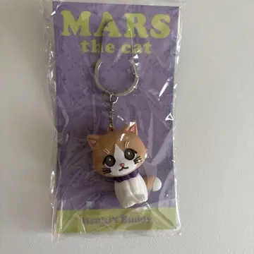 후지와라 키 키링