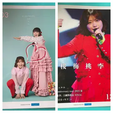 안주루무 핑포스 카와나 린 03 13 2장 세트