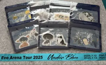 Eve ArenaTour2025 UnderBlue 스티커 컴프 + 은테