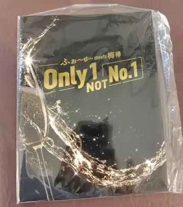 팜플렛  포유 meets 매실봉 Only 1, NOT No.1
