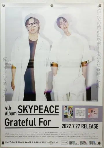 스카이 피스 B2 포스터