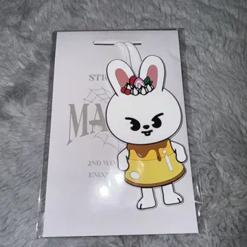 Stray Kids MANIAC Leebit 러기지 태그