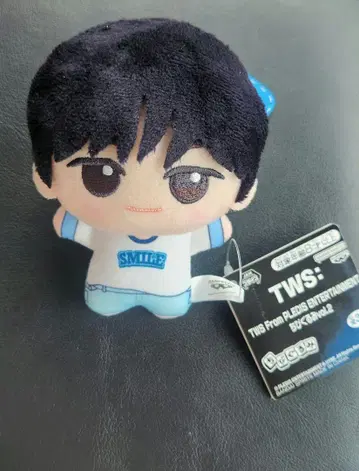 TWS From PLEDIS ENTERTAINMENT SD 인형 도훈