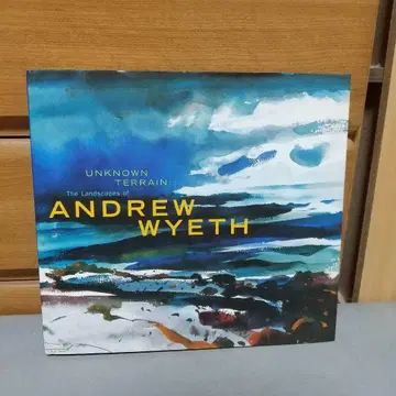 The Landscape of Andrew Wyeth 영문판 jc1