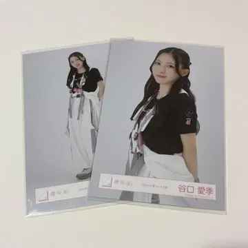 타니구치 아이리 사쿠라자카46 브로마이드 여름 페스티벌 츄히키