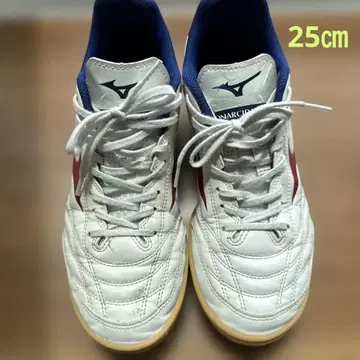 Mizuno Monarcida NEO 풋살화