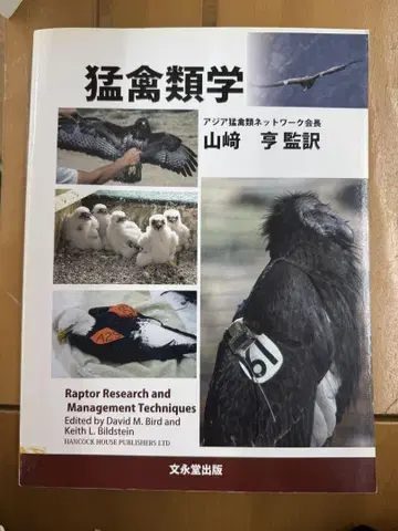 맹금류학 야마자키 토오루 역