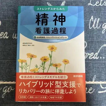 강점에서 본 정신 간호 과정 강점 매핑 시트 가야마 마미