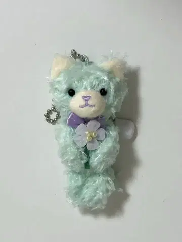 쁘띠 프린스 캣 릴라 플라워