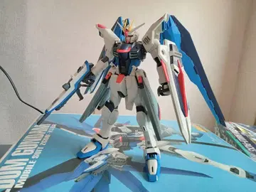 조립 완료 정크 건담 프라모델 MG 1/100 프리덤 건담