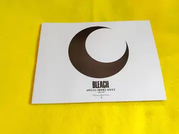 히라코 마코 BLEACH 소책자 설정 자료 이치마루 긴