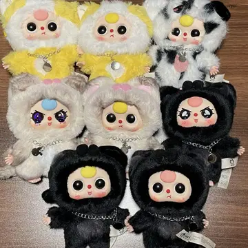 BabyThree 베이비 쓰리 개 고양이 시리즈