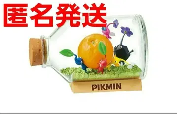 익일 익명 배송 피크민 테라리움 컬렉션 하코부