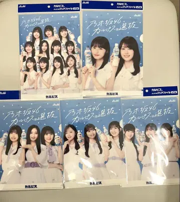 아사히 노기자카46 칼피스 선발 B5 클리어 파일 5장 세트