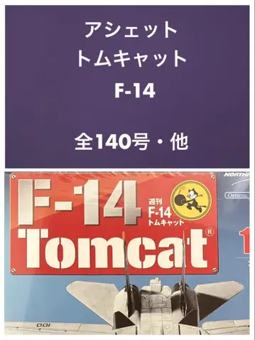 아셰트 톰캣 주간 F-14