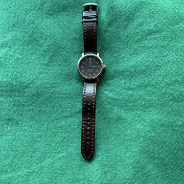 Timex 워터베리