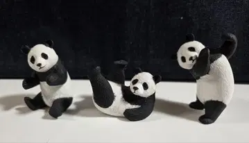 팬더 마스테 홀더 가챠