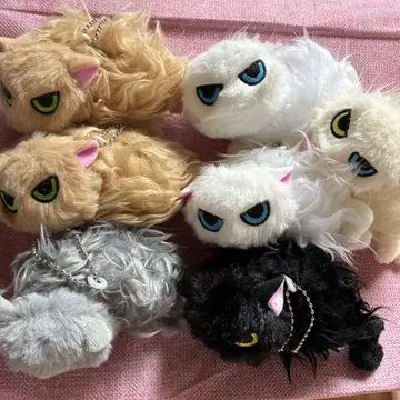 나츠카이 고양이 봉제 인형 전종 가챠가챠