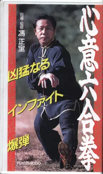 VHS 펑정보 심의육합권