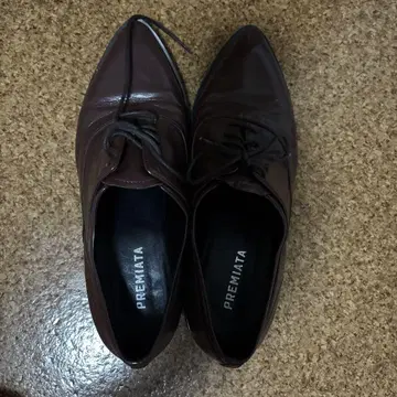 PREMIATA 다크 브라운 드레스 슈즈