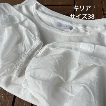 CHILLEA 니트 본체 면 소매 쉬폰 티셔츠