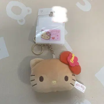 일광화상 키티 얼굴 참