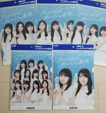 노기자카46 칼피스 클리어 파일 5장 세트