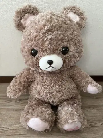 BIG 포춘 베어스 코코아 곰 봉제 인형